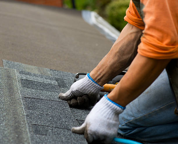 Best Storm Damage Roof Repair  in Lebanon, VA